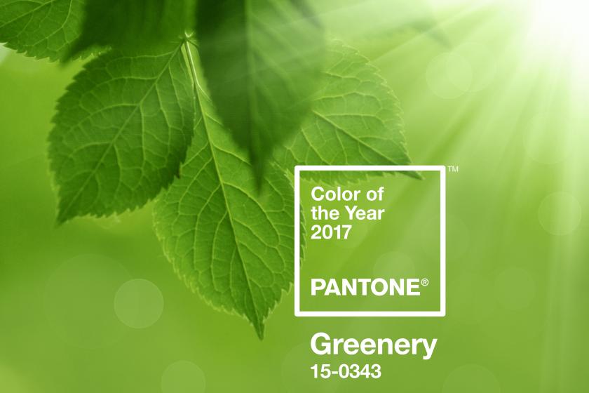 Bild: Pantone