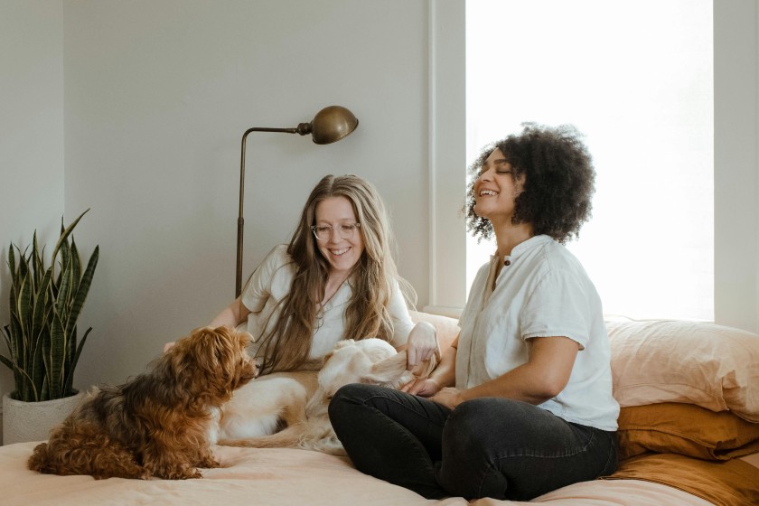 So wird deine Wohnung zum Unikat | Credit: Chewy via Unsplash