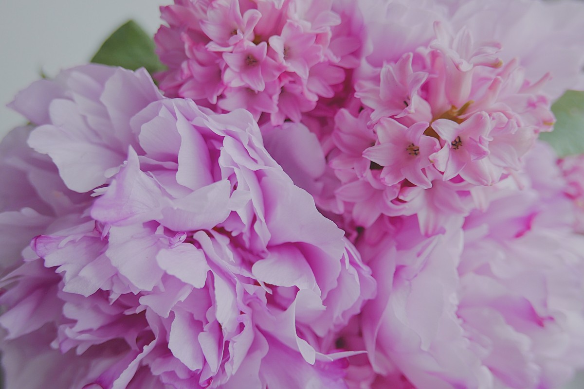 Alles Gute zum Muttertag | Foto: Irina via Unsplash